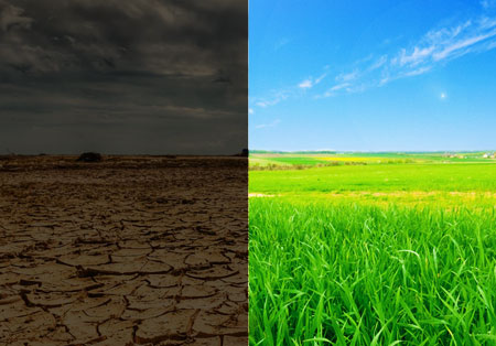 روز جهانی بیابان زدایی