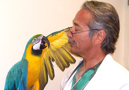 روز دامپزشکی