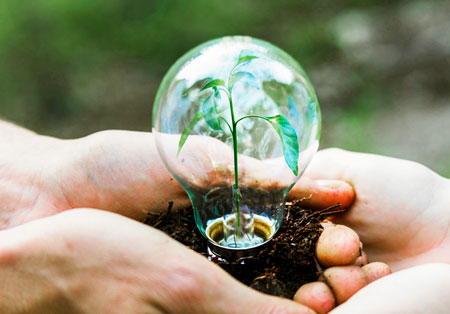 روز جهانی علم