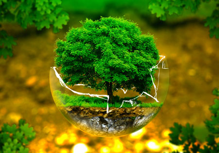 روز درختکاری