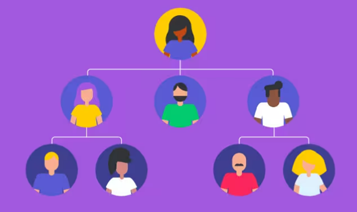 چارت سازمانی استاندارد