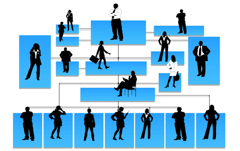 چارت سازمانی شرکت های موفق